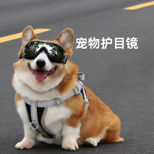 宠物狗狗护目镜防风帅气眼镜装饰
