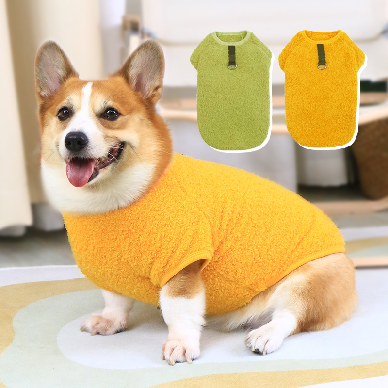 宠物狗狗衣服背心柯基2025新款