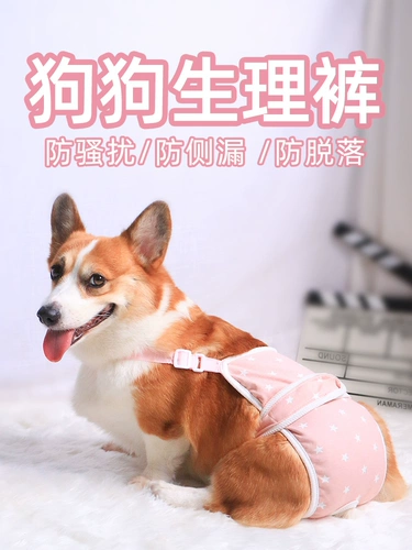 Пять лет старого магазина восемь цветов брюки брюки Pet Dog Физиологические штаны