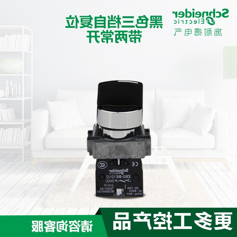 À×Ê¿/Å·ÆÕÕÕÃ÷Ê©Ä͵ÂÐýÅ¥¿ª¹Ø Èýµµ×Ô¸´Î»´øÁ½³£¿ªXB2BD53C ZB2BD