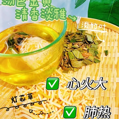 【灯心竹叶汤】罗大伦推荐心火肺火睡眠安神食疗养生茶饮