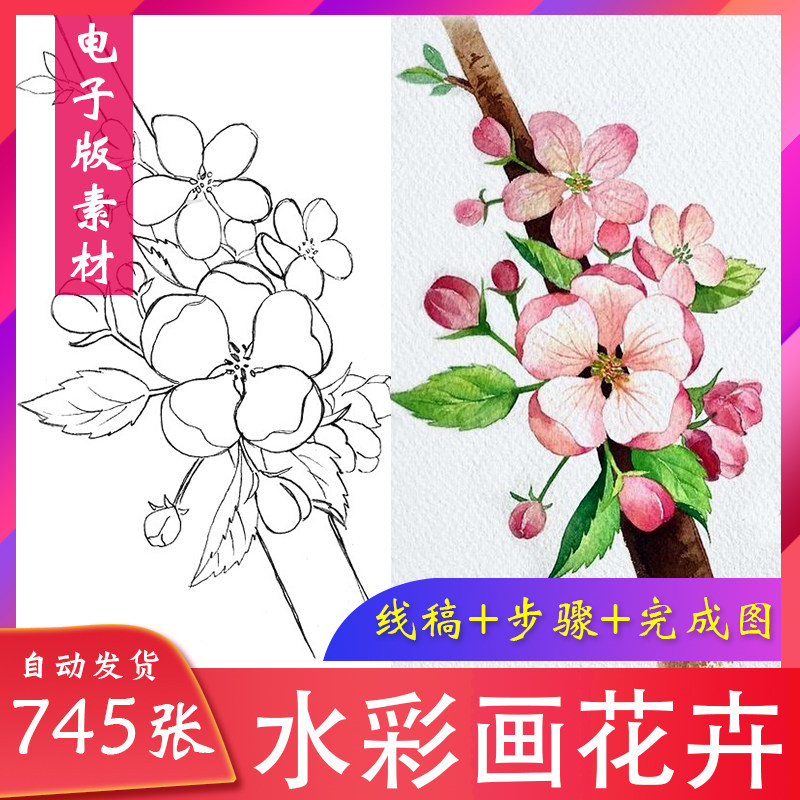 小清新水彩花卉线稿素材淡彩植物手绘临摹教程美术绘画电子版插画