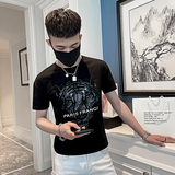 2025夏季男短袖t恤半袖潮流修身网红超火ins衣服潮牌狮子AT43-P38，男装T恤，电商A270