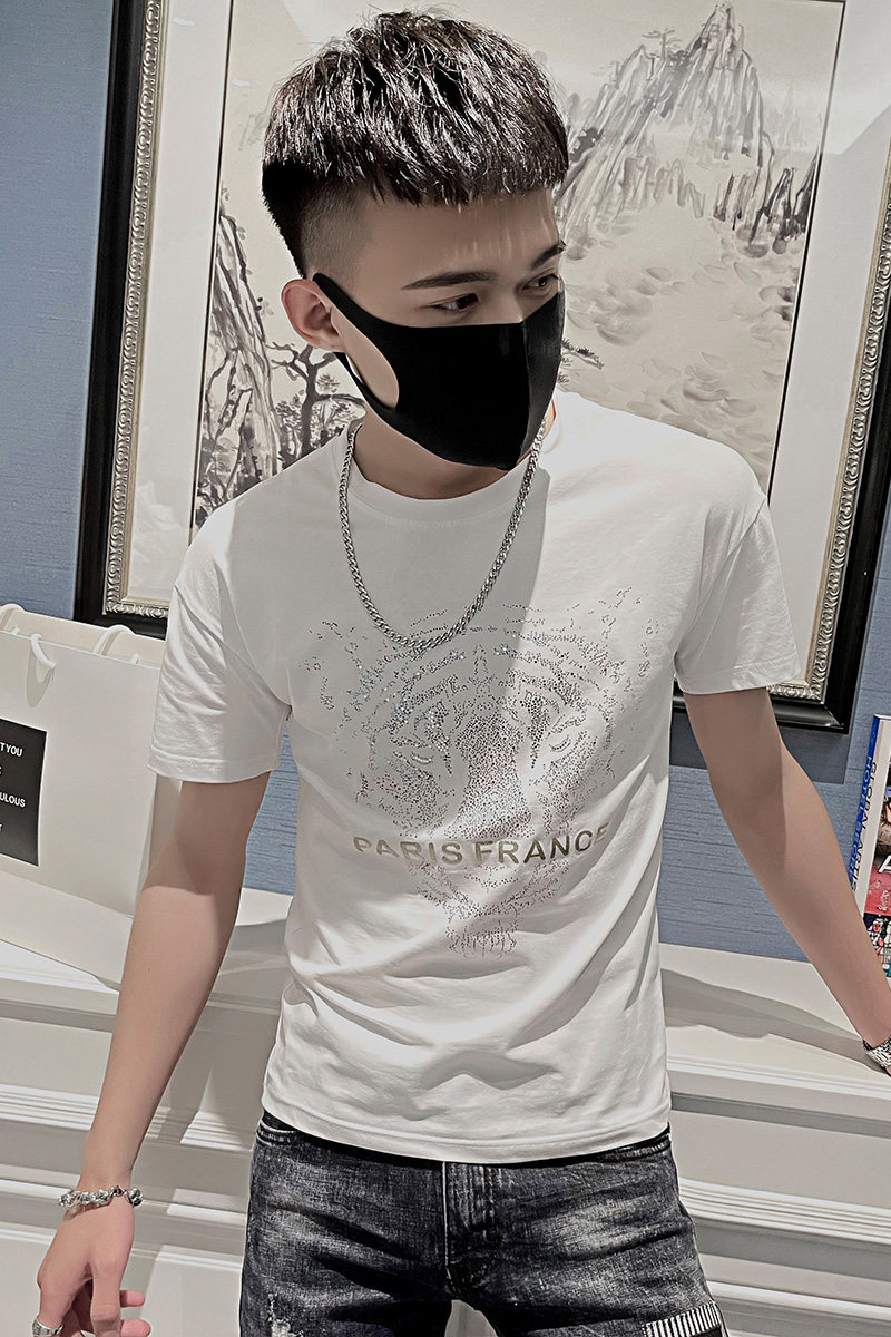 2025夏季男短袖t恤半袖潮流修身网红超火ins衣服潮牌狮子AT43-P38,男装T恤,电商A270