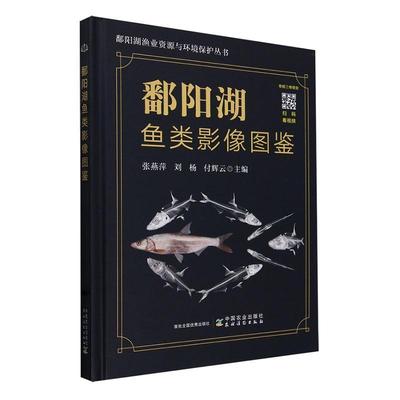 鄱阳湖鱼类影像图鉴张燕萍  书自然科学书籍