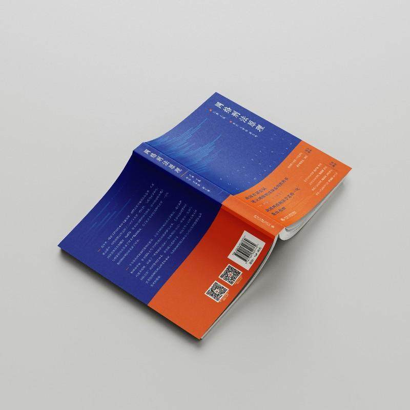 网络刑法原理江溯  书法律书籍