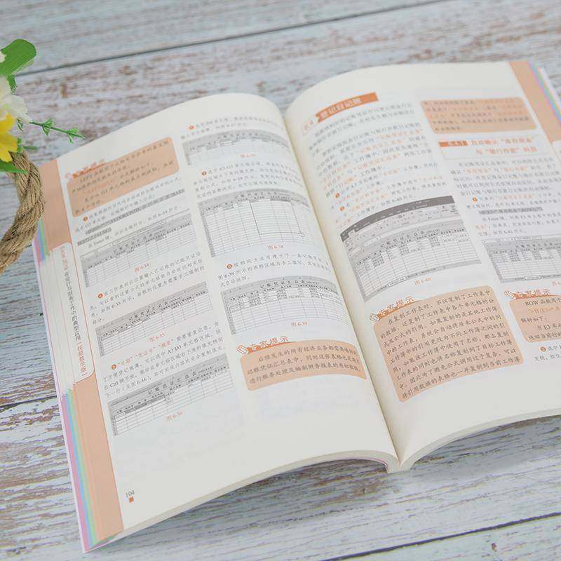 Excel 2019在会计与财务工作中的典型应用:教学版赛贝尔资讯  书经济书籍