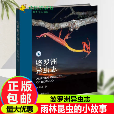 婆罗洲异虫志张巍巍 著玩虫子: 从入门到疯狂，你只差这一本书100 个雨林昆虫的小故事，配合独家原创生态照片婆罗洲原始雨林