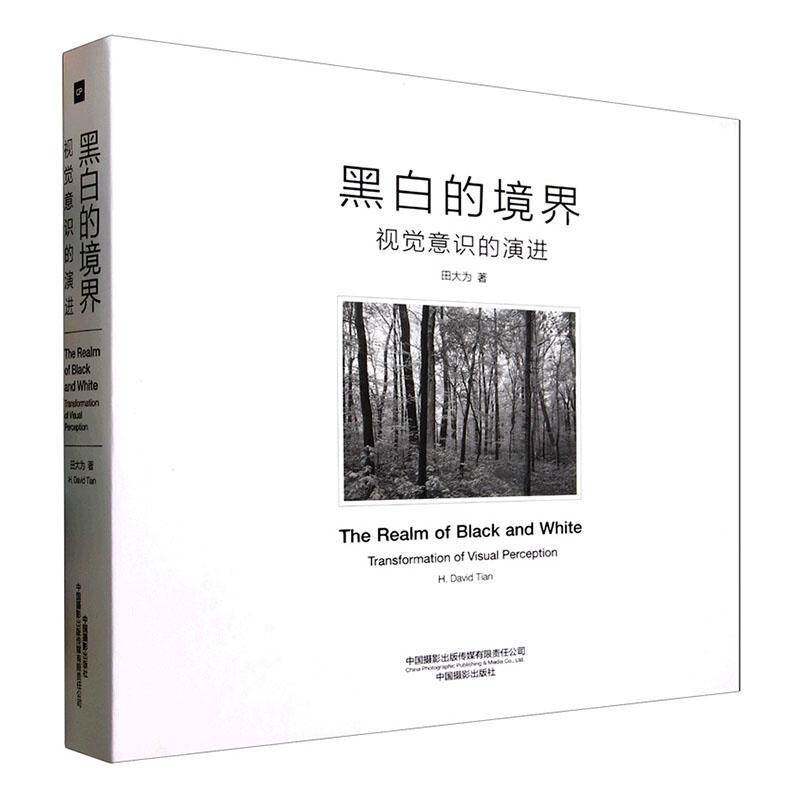 黑白的境界:视觉意识的演进:transformation of visual perception田大为  书艺术书籍