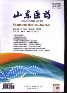 第3期 过刊 过期期刊 过期杂志书刊学术期刊书籍 2023年 期刊杂志期刊杂志订阅 山东医药