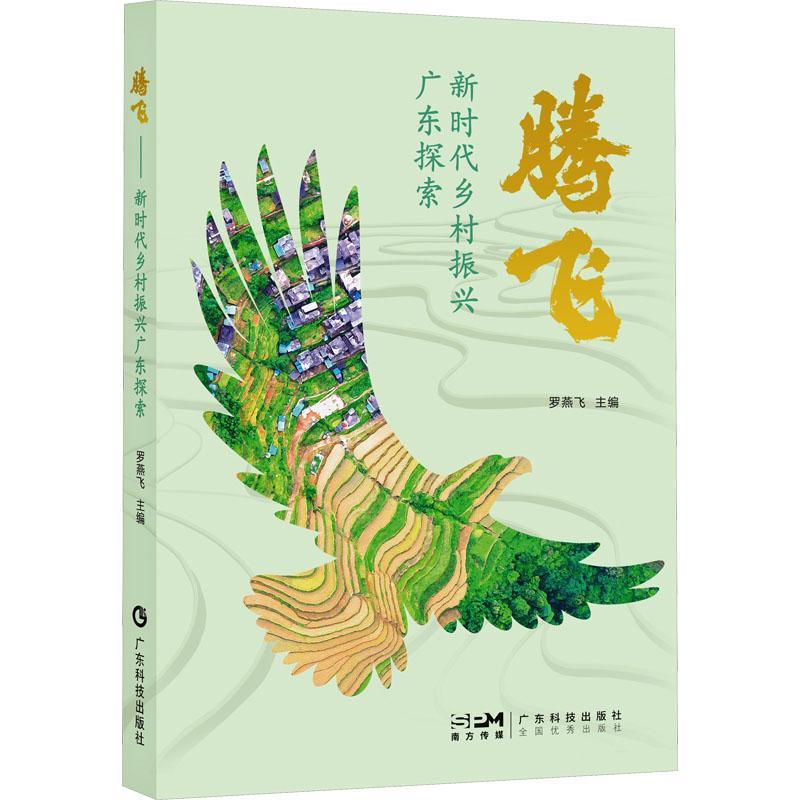 腾飞——新时代乡村振兴广东探索罗燕飞  书经济书籍
