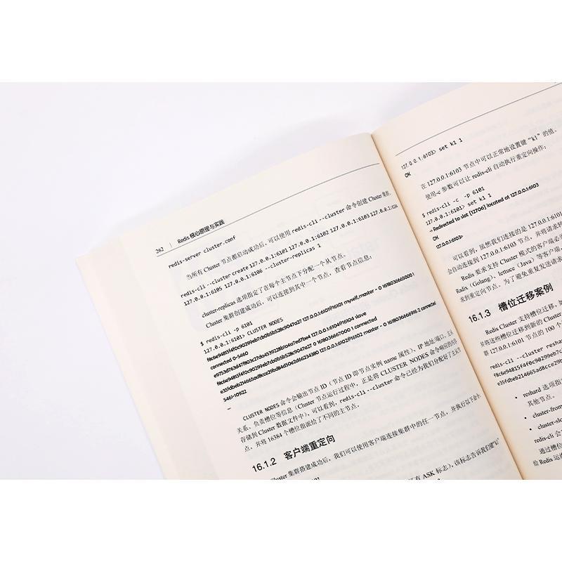 Redis核心原理与实践梁国斌关系数据库系统普通大众书计算机与网络书籍图片