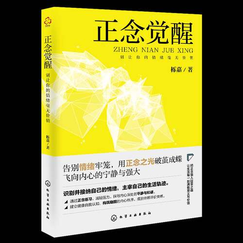 正念觉醒：别让你的情绪毫无价值栎嘉  书社会科学书籍
