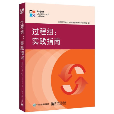 正版 过程组：实践指南 PMI认证考试教材 包含全部PMBOK6中过程组 PMBOK6替代版 适合 项目管理PMP考生 项目管理从业人员