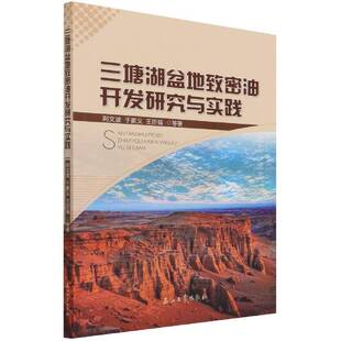 三塘湖盆地致密油开发研究与实践荆文波致密砂岩砂岩油气藏油田开发研究高职书工业技术书籍