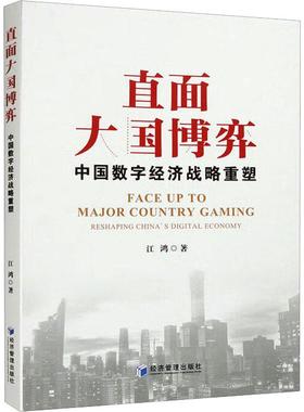 直面大国博弈:中国数字经济战略重塑:reshaping China's digital economy江鸿  书经济书籍