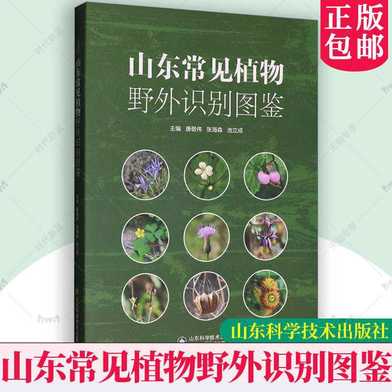 山东常见植物野外识别图鉴 唐敬伟 整合山东全域植物资源收录植物728种涵盖120科424属 中文名汉语拼音拉丁学名地方俗名植物图鉴书