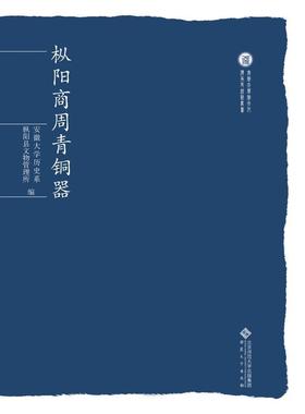 枞阳商周青铜器张爱冰青铜器研究枞阳县商周时代 书历史书籍