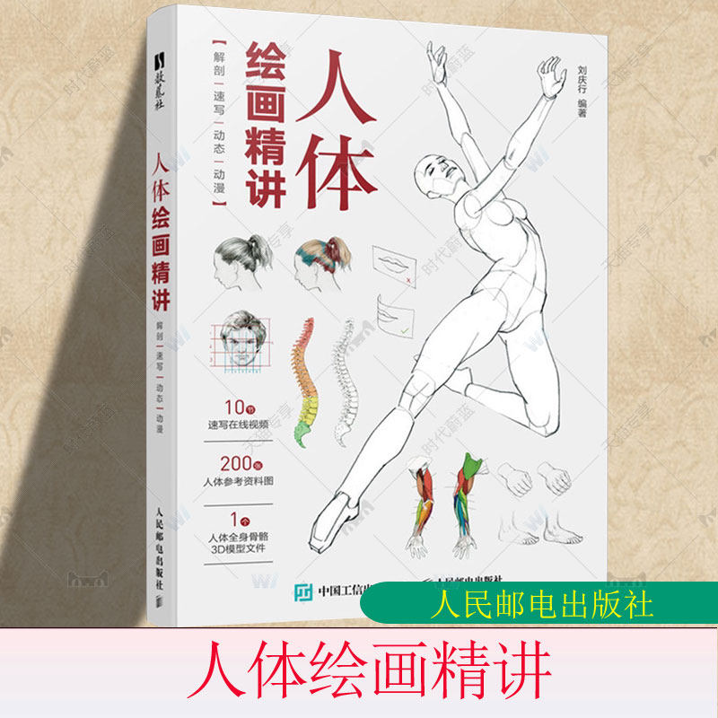 人体绘画精讲 解剖+速写+动态+动漫 人体结构动态结构自学教程基础入门 人物速写入门基础绘画临摹书籍透视技法自学教程,书籍/杂志/报纸,绘画（新）,淘宝优惠券,粉丝福利购,淘宝优惠卷