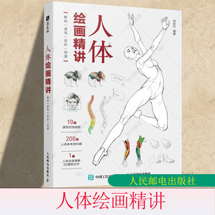 人体绘画精讲 解剖+速写+动态+动漫 人体结构动态结构自学教程基础入门 人物速写入门基础绘画临摹书籍透视技法自学教程