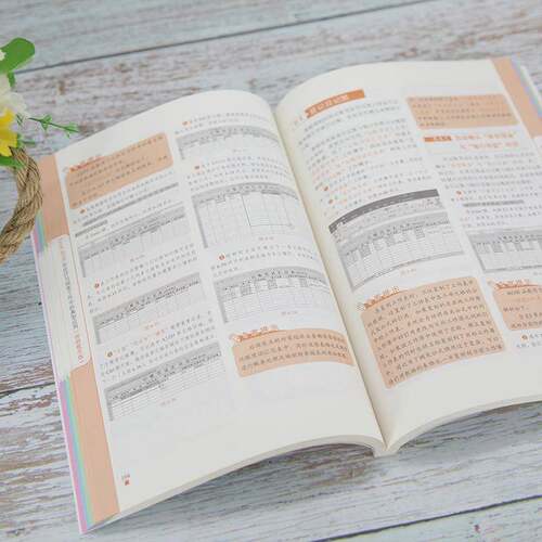 Excel 2019在会计与财务工作中的典型应用:教学版赛贝尔资讯  书经济书籍