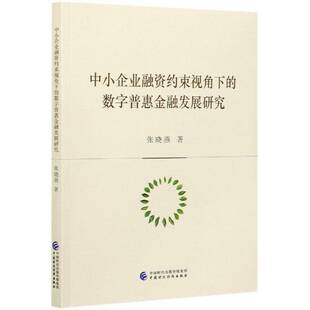 中小企业融资约束视角下的数字普惠金融发展研究张晓燕数字技术应用金融事业研究中国普通大众书经济书籍