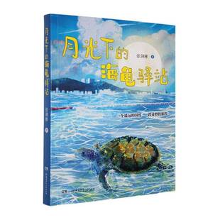 月光下的海龟驿站张剑彬  书图书书籍