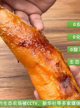 无农药无化肥无除草剂 烟薯 蜜薯  5 斤装 一件包邮
