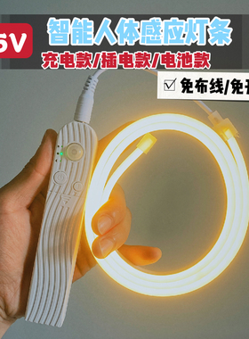 免布线智能人体感应灯带充电led霓虹灯条无线插电氛围衣厨柜床下