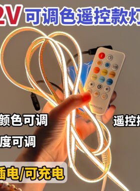 12V三色遥控开关COB灯带充电插电