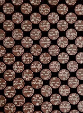 370圆柱形 F160MA 250V 37001600000 快熔断 TR5微型保险丝管现货