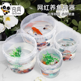 加厚透明水桶养鱼桶赶海观察桶带盖捞鱼捉虾迷你小水桶1/2升公斤