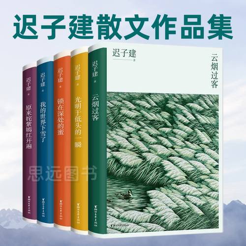 迟子建我的世界下雪了