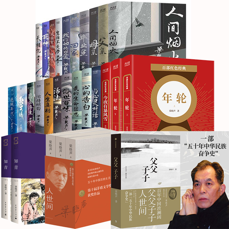 梁晓声作品集全套29册 人世间 雪城知青 年轮 返城年代 人间烟火 父亲母亲父父子子 包含人间清醒系列20册 茅盾文学奖获奖者的书籍