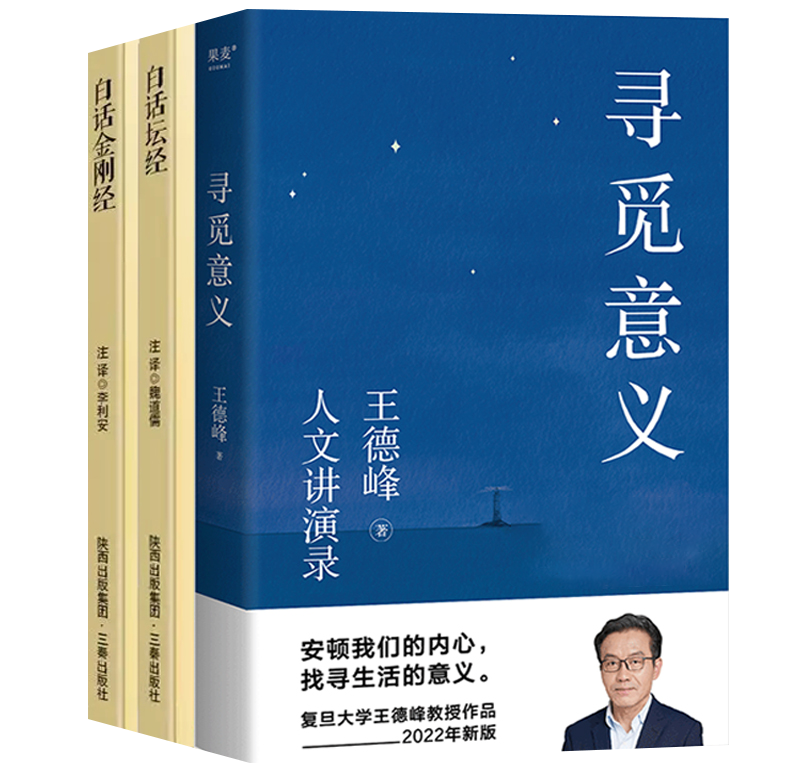 【全3册】寻觅意义+白话金刚经+白话坛经王德峰六祖坛经慧能诠释中国哲学系列书籍