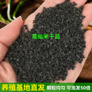 葛仙米干货5g恩施特产葛鲜米50克精选颗粒均匀无杂质口感Q弹