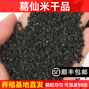 葛仙米干货50克新货高档食材酒店特供特色网红舌尖上的美食土特产