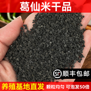 葛仙米 湖北恩施走马特产 新货 精品干货80克顺丰包邮 颗粒均匀