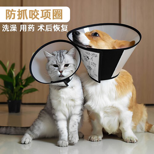 防舔犬猫项圈术后恢复伊丽莎白圈