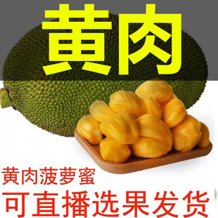 包邮 海南黄肉菠萝蜜一整个新鲜水果 黄肉12 神州果园木菠萝