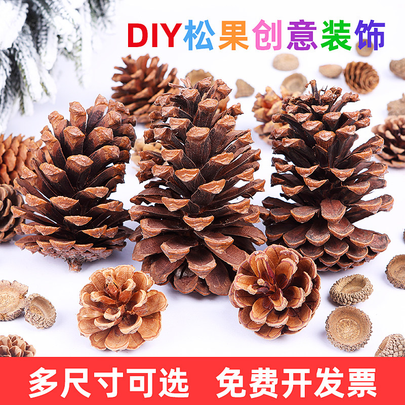 手工制作材料创意diy天然摆件松果松塔松子杆花果实装饰树枝干枝
