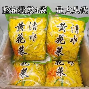 清水黄花菜24/整箱新鲜金针菜凉拌菜火锅麻辣烫串串食材商用