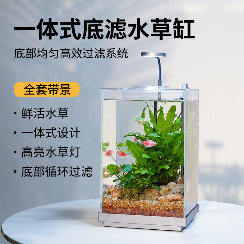 桌面底滤小鱼缸全套造景缸