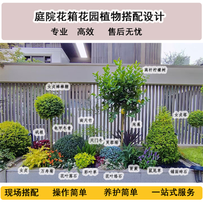 庭院阳台花境花箱一站式搭配设计