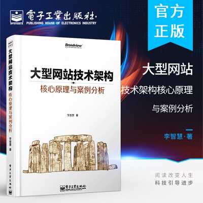 正版现货 大型网站技术架构 核心原理与案例分析 接地气的网站架构经验 网站生存技术心要 应对大数据挑战的干货分享 电子工业