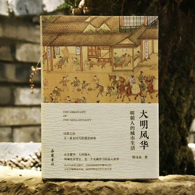 【官方正版】大明风华 明朝人的城市生活 陈宝良 描述城市中政治经济文化民情风俗等 显微镜下的古人生活 中国通史 岳麓书社