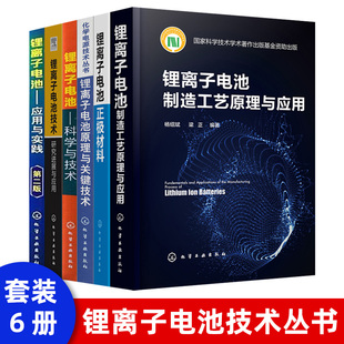 锂离子电池原理关键技术制造工艺原理应用科学技术化学工业技术研究进展应用技术丛书化学电源技术丛书应用实践原理性能与生产工艺