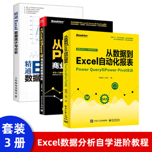 现货 Query和Power BI数据分析技术 正版 从数据到Excel自动化报表：Power 商业智能数据处理Power Excel办公教程书籍 Pivot实战