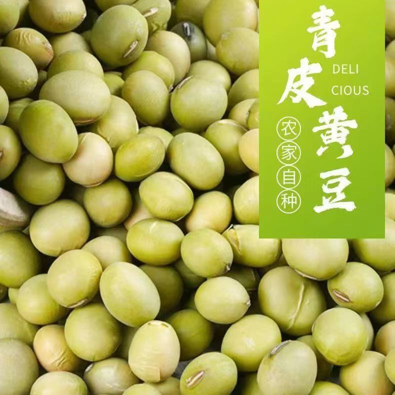 2025年新货湘西特产农家自种青皮黄豆
