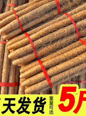 蠡县麻山药白嘴山药新鲜5斤带箱当季蔬菜铁棍非温县淮怀山药铁杆